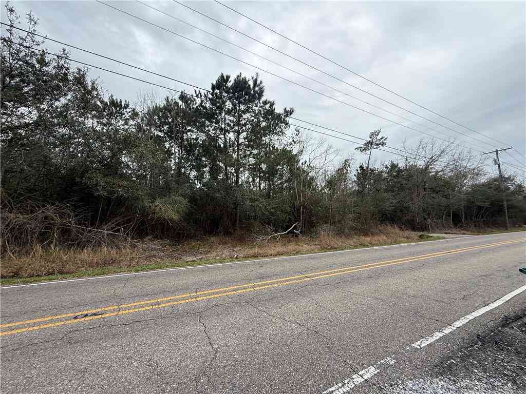 Vacant Land For Sale - 34180 Bayou Liberty Road<br/> Slidell, LA 70460