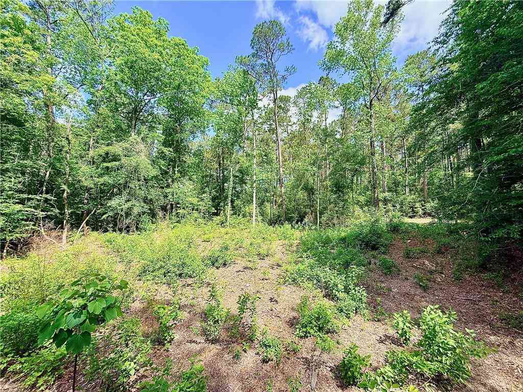 Vacant Land For Sale - 87474 Vineyard Road<br/> Folsom, LA 70437