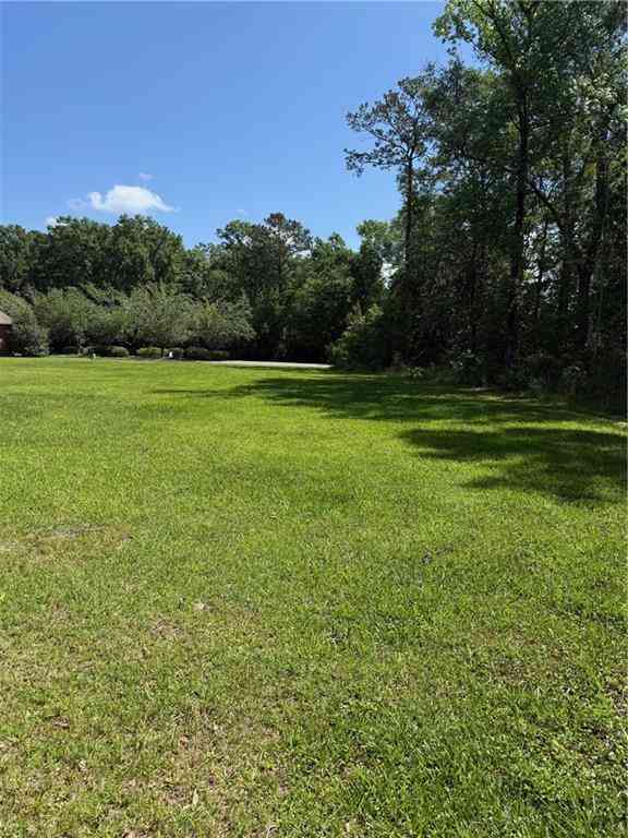 Vacant Land For Sale - TBD Elmwood Boulevard<br/> Hammond, LA 70403