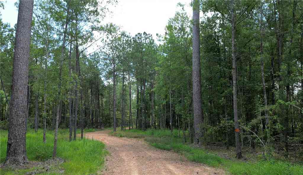 Vacant Land For Sale - 35072 La-43 Highway<br/> Independence, LA 70443