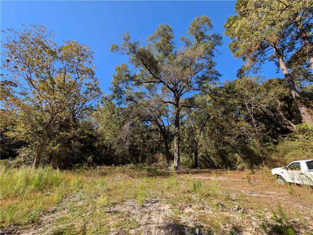 Vacant Land For Sale - 210 Galatas Road<br/> Madisonville, LA 70447