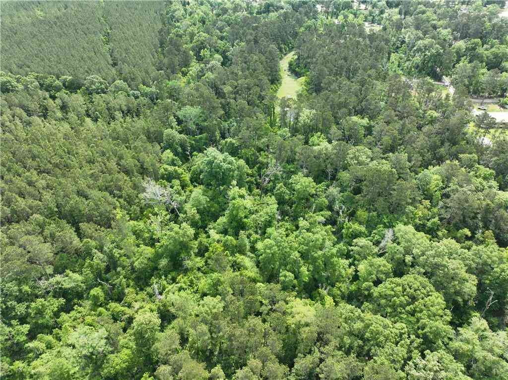 Vacant Land For Sale - Shadow Lake Drive<br/> Holden, LA 70744