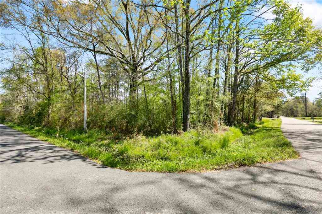 Vacant Land For Sale - LOT 1-A Meadow Lark Lane<br/> Denham Springs, LA 70726