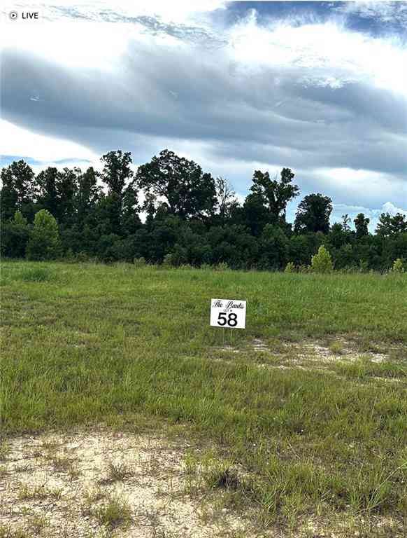 Vacant Land For Sale - LOT 58 The Banks Drive - Hwy 16 Highway<br/> Washington County, Franklinton, LA 70438