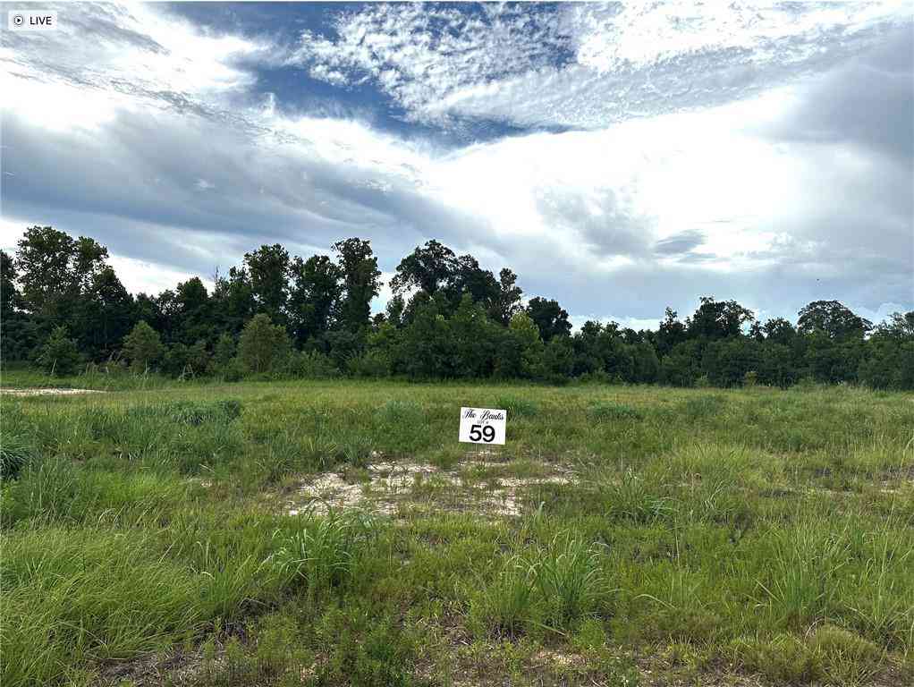 Vacant Land For Sale - LOT 59 The Banks Drive - Hwy 16 Highway<br/> Washington County, Franklinton, LA 70438