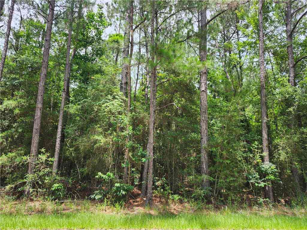 Vacant Land For Sale - 73098 Authement Street<br/> Covington, LA 70435