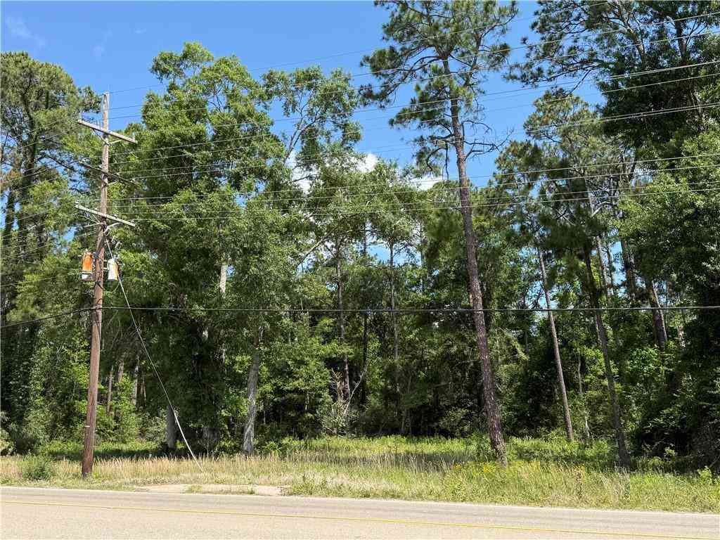 Vacant Land For Sale - 40017 Highway 190 E Highway<br/> Slidell, LA 70461