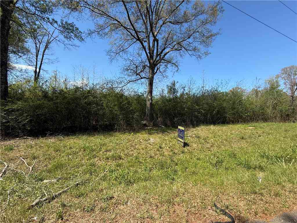 Vacant Land For Sale - 1175 Mount Zion Road<br/> Pike County, Osyka, MS 39657