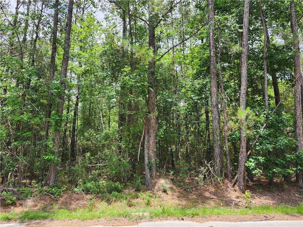 Vacant Land For Sale - 001 Plantation Street<br/> Covington, LA 70433