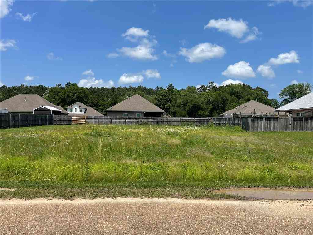 Vacant Land For Sale - 21346 Beau Chateau Boulevard<br/> Ponchatoula, LA 70454
