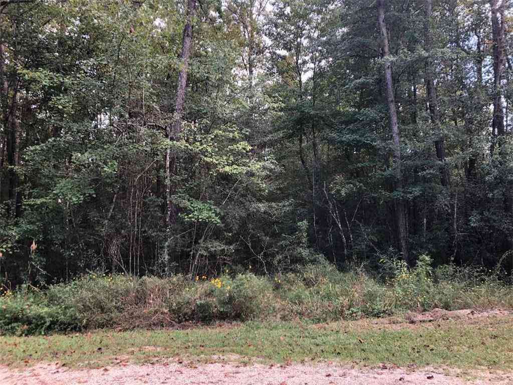 Vacant Land For Sale - LOT 16 Crabapple Lane<br/> Franklinton, LA 70438