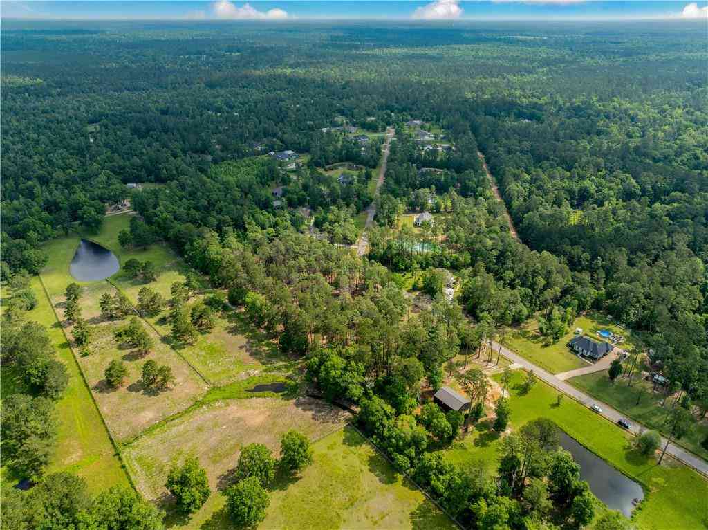 Vacant Land For Sale - Spirit Of The Forest Lane<br/> Folsom, LA 70437