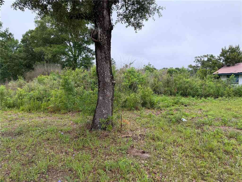 Vacant Land For Sale - 10315 Old Baton Rouge Highway<br/> Hammond, LA 70403