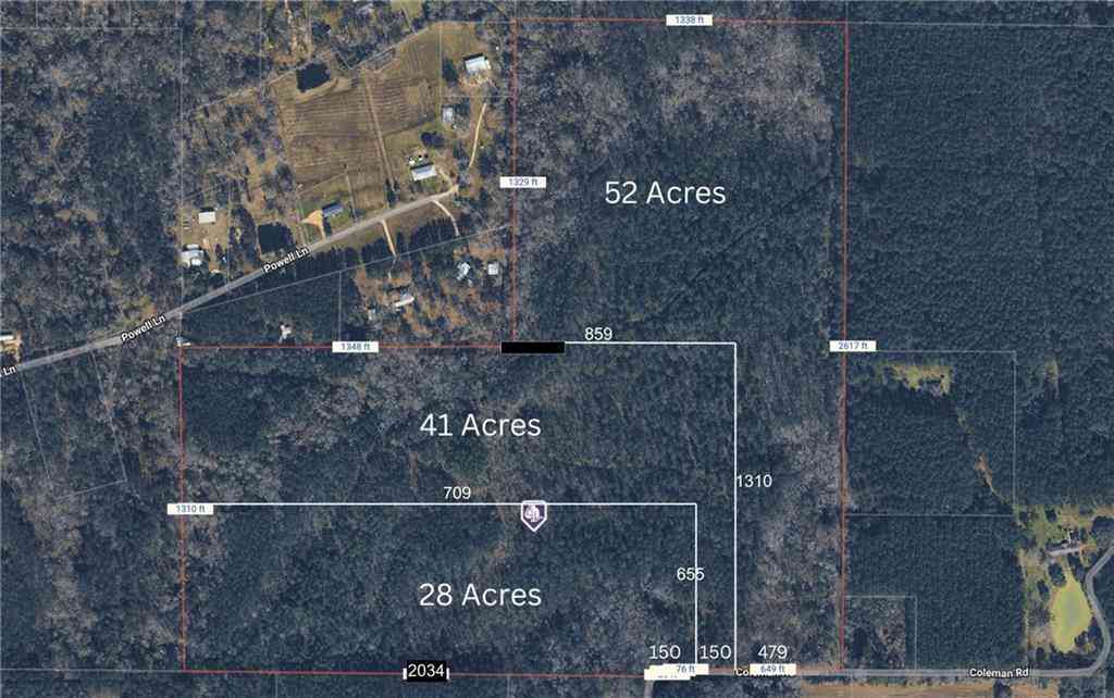 Vacant Land For Sale - Coleman Road<br/> Robert, LA 70455
