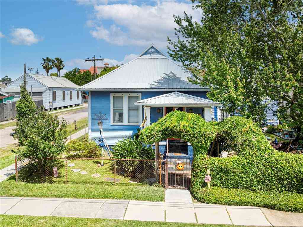 Homes For Sale - 2871 Ponce De Leon Street<br/> New Orleans, LA 70119