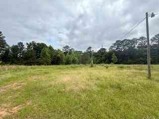 Vacant Land For Sale - 35030 Sunny Hill Road<br/> Mount Hermon, LA 70450