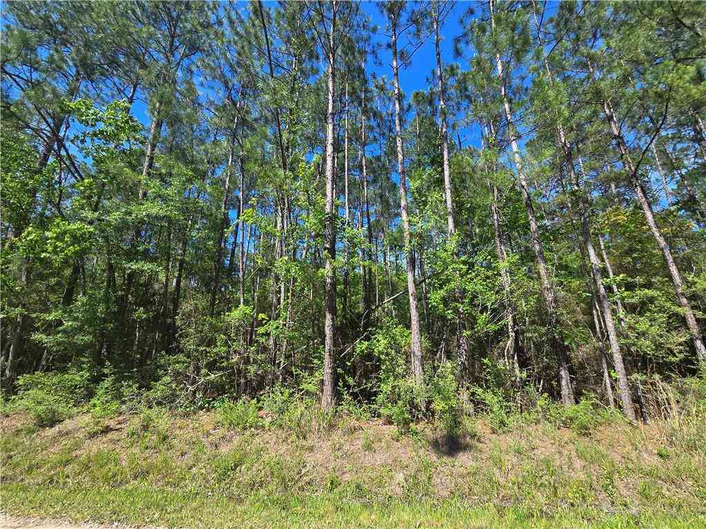 Vacant Land For Sale - Niblick Street<br/> Abita Springs, LA 70420