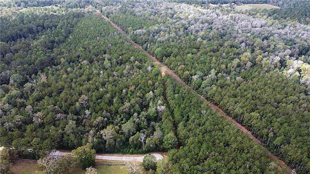 Vacant Land For Sale - 49 ACRES Holliday Road<br/> Folsom, LA 70437