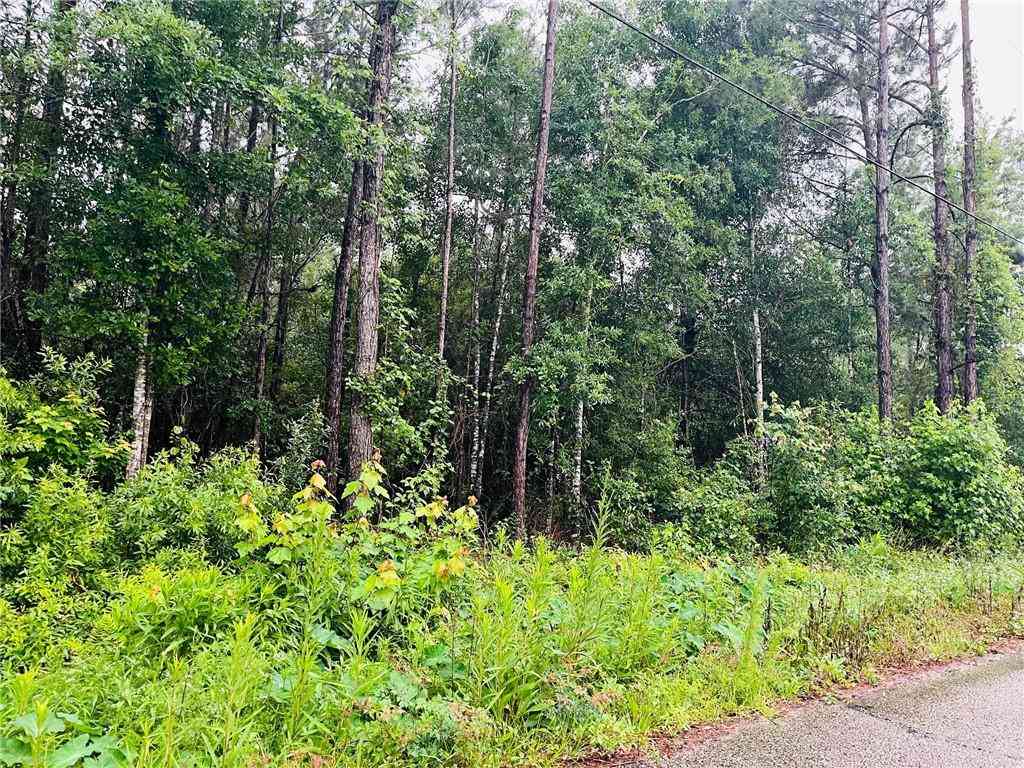 Vacant Land For Sale - Fleetwood Drive<br/> Slidell, LA 70460