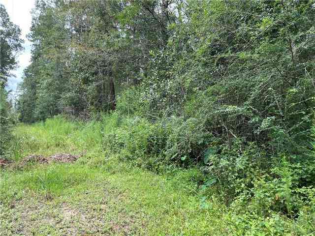 Vacant Land For Sale - 000 Charlie Street<br/> Covington, LA 70433