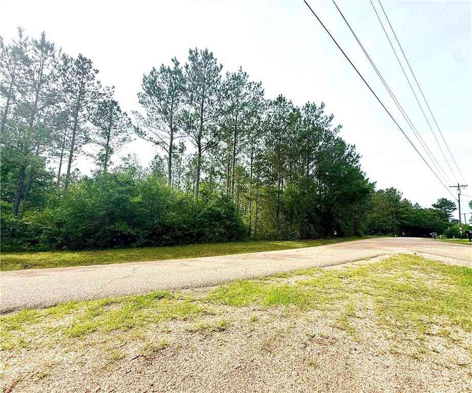 Vacant Land For Sale - LOT2 TBD Lee Road<br/> Washington County, Franklinton, LA 70438