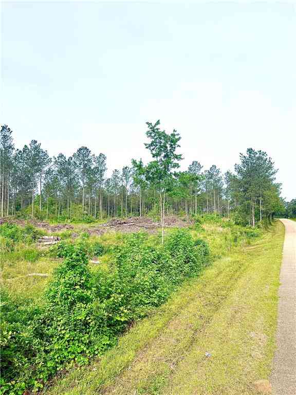 Vacant Land For Sale - LOT4 TBD Lee Road<br/> Washington County, Franklinton, LA 70438