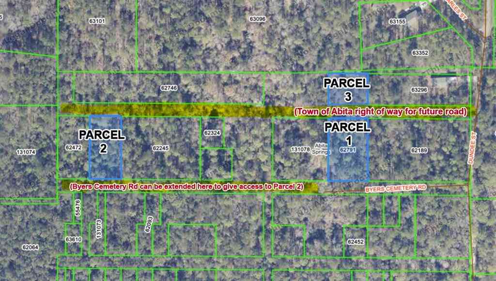 Vacant Land For Sale - Byers Cemetery Road<br/> Abita Springs, LA 70433