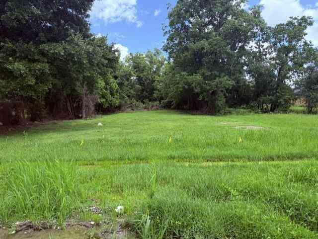 Vacant Land For Sale - 2915 Live Oak Street<br/> New Orleans, LA 70118