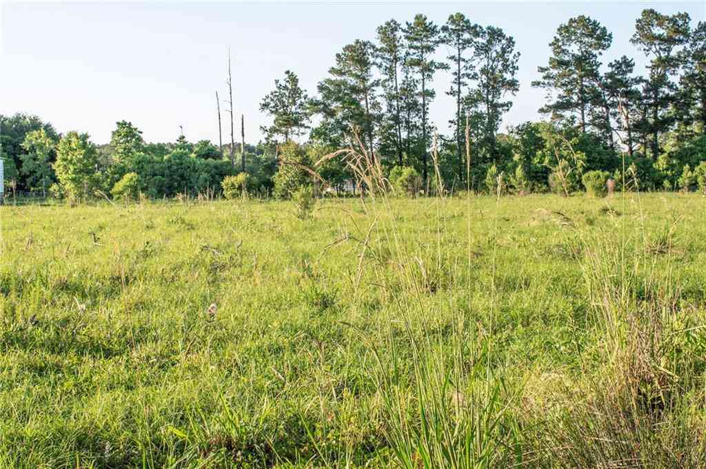 Vacant Land For Sale - Henry White Road<br/> Albany, LA 70711