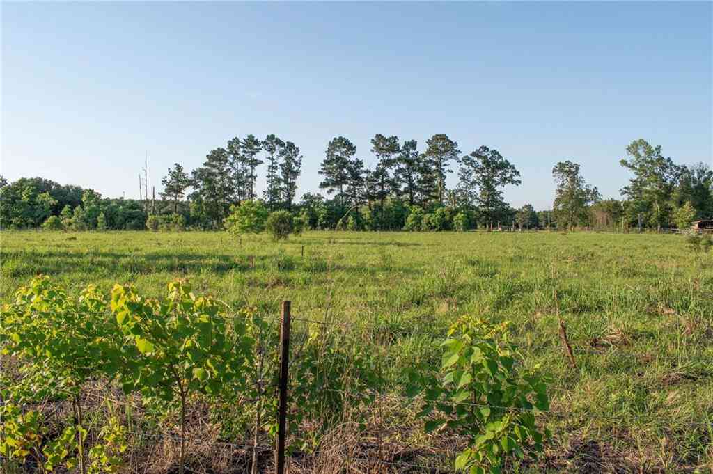 Vacant Land For Sale - Henry White Road<br/> Albany, LA 70711