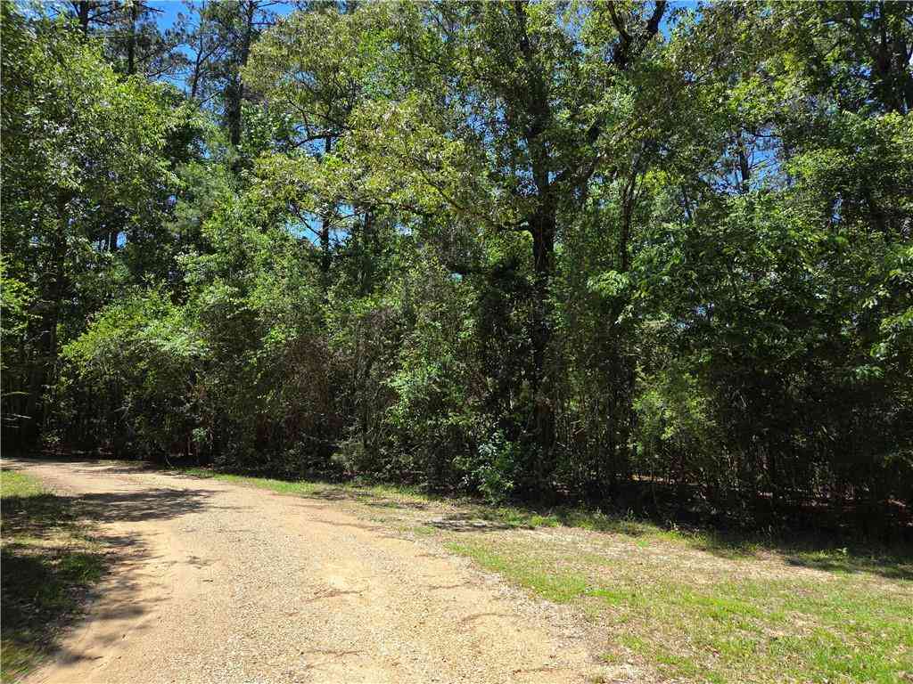 Vacant Land For Sale - Exnicios Drive<br/> Folsom, LA 70437