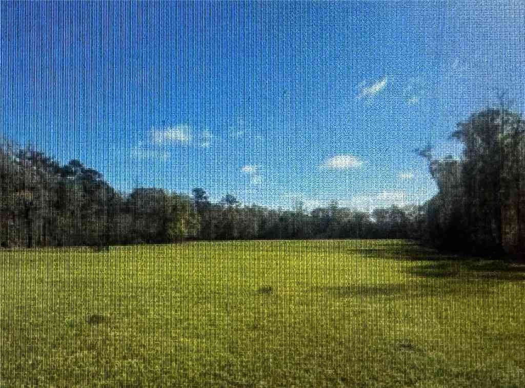 Vacant Land For Sale - 28445 Harper Hill Drive<br/> Independence, LA 70443