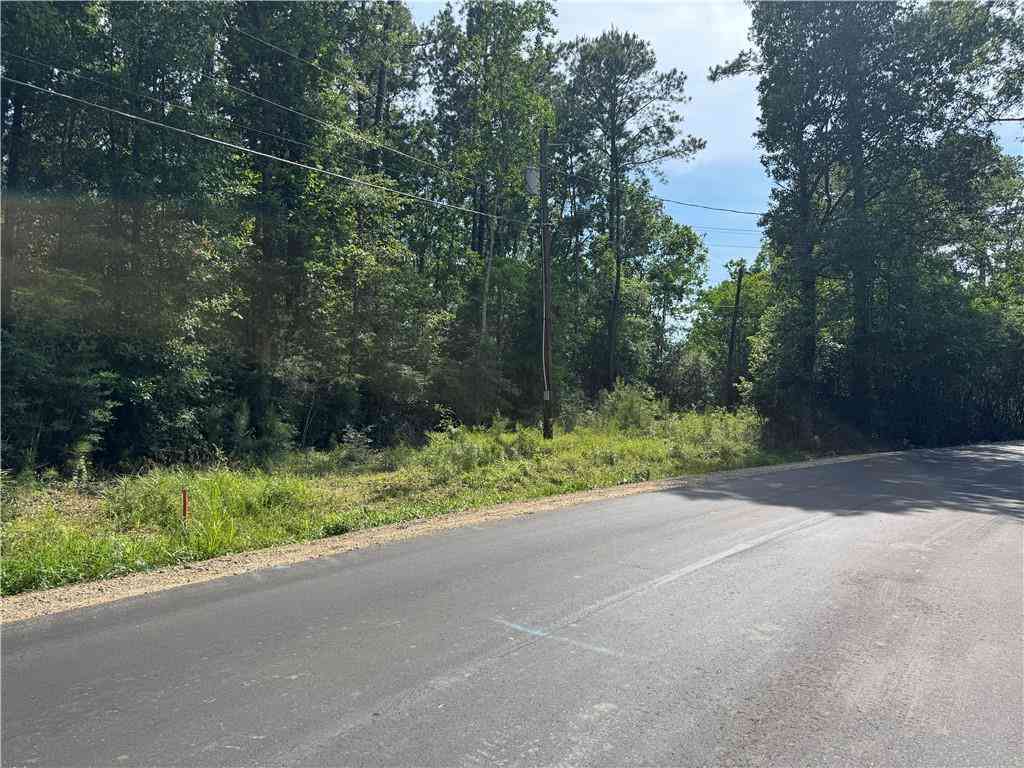 Vacant Land For Sale - TRACT 1-B Lower Rome Road<br/> Springfield, LA 70462