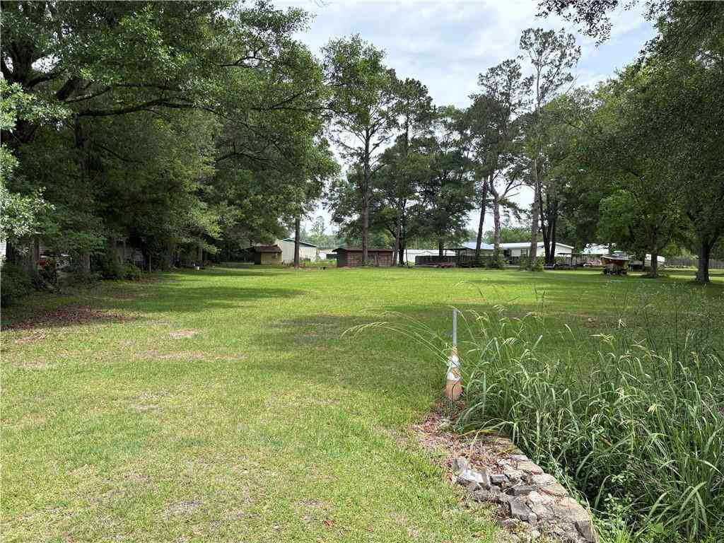 Vacant Land For Sale - 26787 Hwy 42 Highway<br/> Springfield, LA 70462