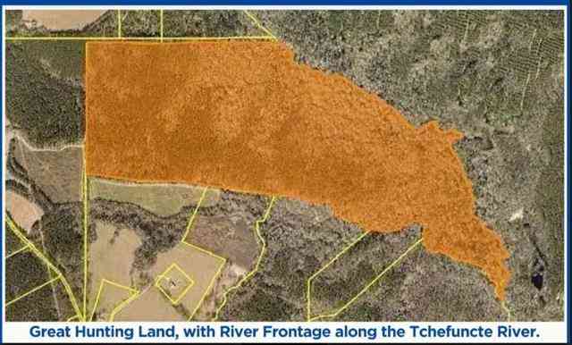 Vacant Land For Sale - 220 ACRES Z Mcdaniel Road<br/> Kentwood, LA 70444