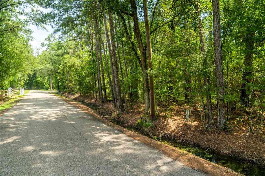 Vacant Land For Sale - 000 Chills Blue Springs Road<br/> Hammond, LA 70401