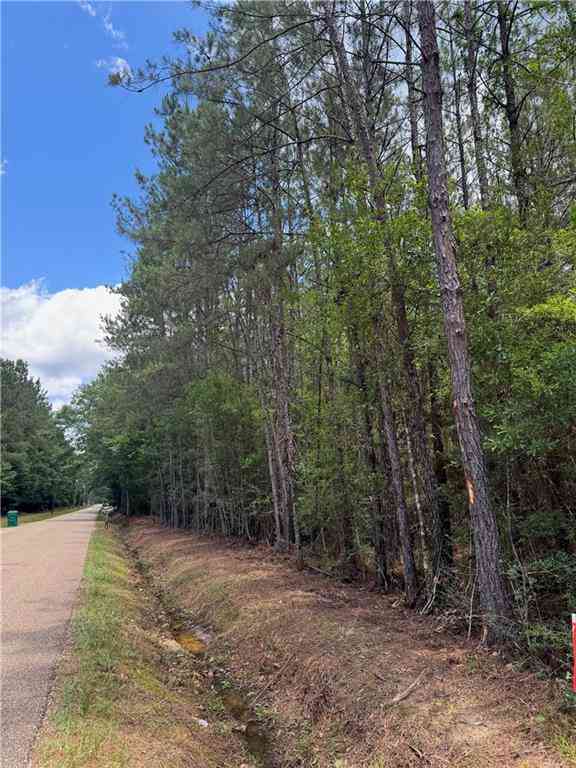 Vacant Land For Sale - TBD Lavinghouse Road<br/> Bush, LA 70431