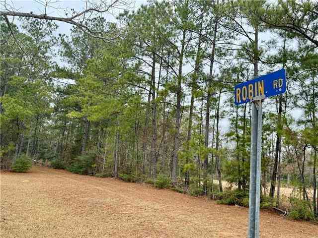 Vacant Land For Sale - LOT 3 & 7 Robin Road<br/> Washington County, Franklinton, LA 70438