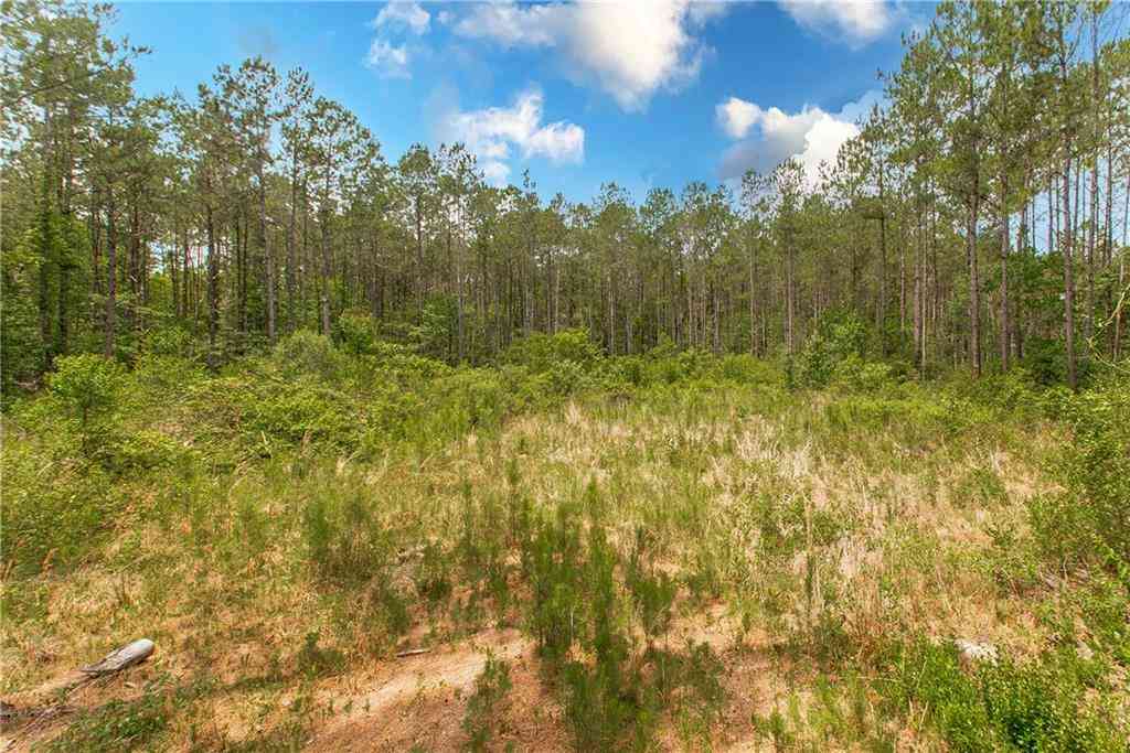 Vacant Land For Sale - 76317 Bob Levy Road<br/> Abita Springs, LA 70420