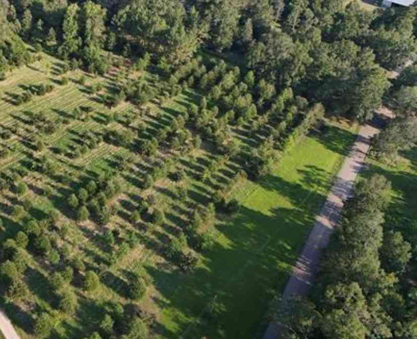 Vacant Land For Sale - TRACT2 John D Wood Road<br/> Washington County, Franklinton, LA 70438