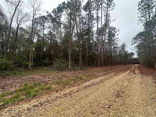 Vacant Land For Sale - LOT E Hunter Oaks Lane<br/> Covington, LA 70435