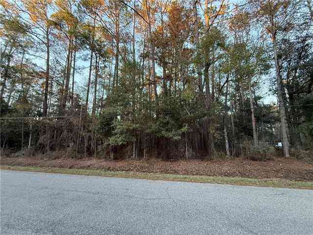 Vacant Land For Sale - TBD Delery Street<br/> Mandeville, LA 70471