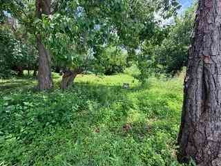 Vacant Land For Sale - 54857 Dale Street<br/> New Orleans, LA 70126