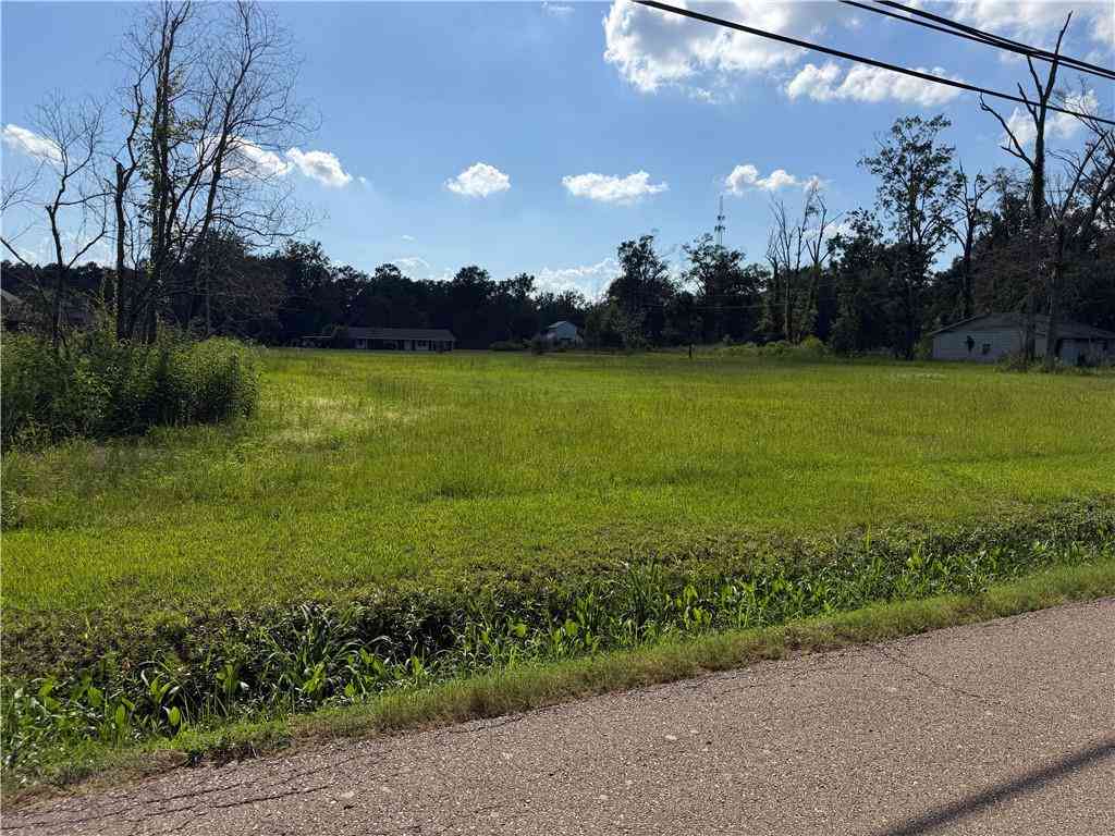 Vacant Land For Sale - 41523 AND 41525 Yokum Road<br/> Ponchatoula, LA 70454