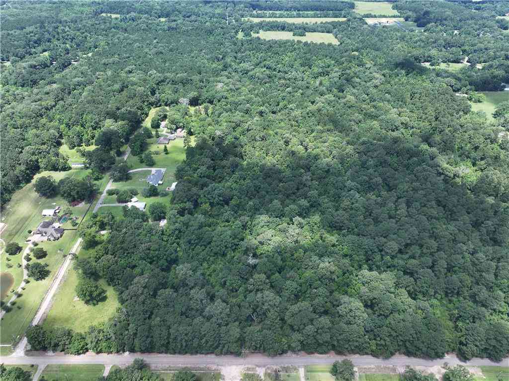 Vacant Land For Sale - Reames Rd Road<br/> Zachary, LA 70791