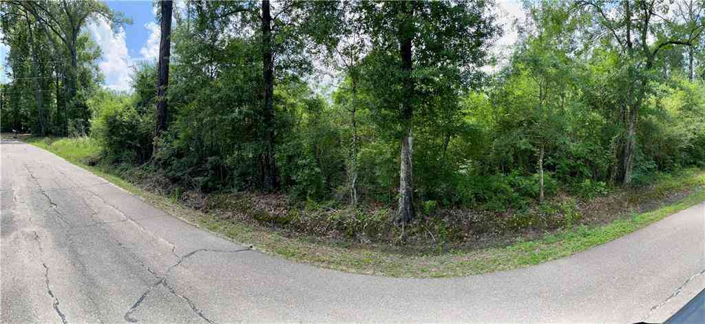Vacant Land For Sale - S Cafe Line Road<br/> Albany, LA 70711