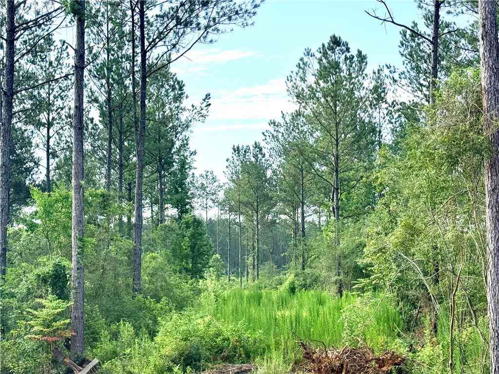 Vacant Land For Sale - LOT2-B 3.08AC Lee Road<br/> Washington County, Franklinton, LA 70438