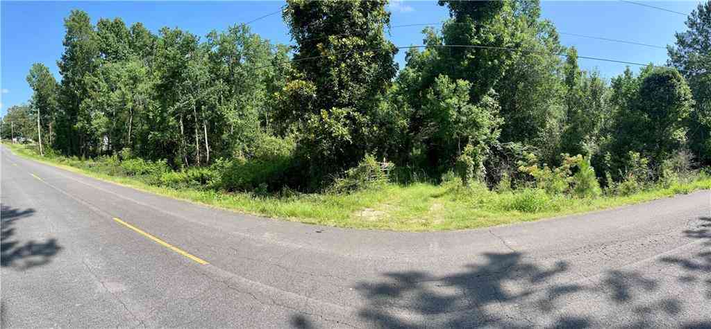 Vacant Land For Sale - 19376 N Saint Charles Avenue<br/> Loranger, LA 70446