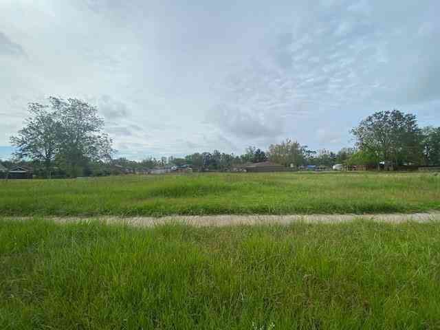 Vacant Land For Sale - 2609 Reunion Drive<br/> Violet, LA 70092