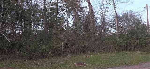 Vacant Land For Sale - E Park Avenue<br/> Hammond, LA 70403